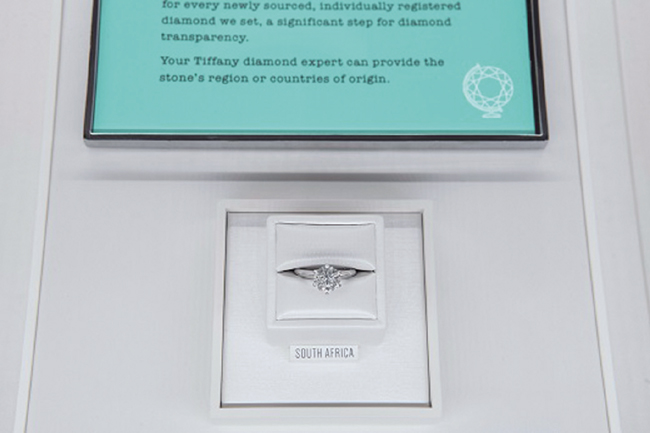 tiffany program_520